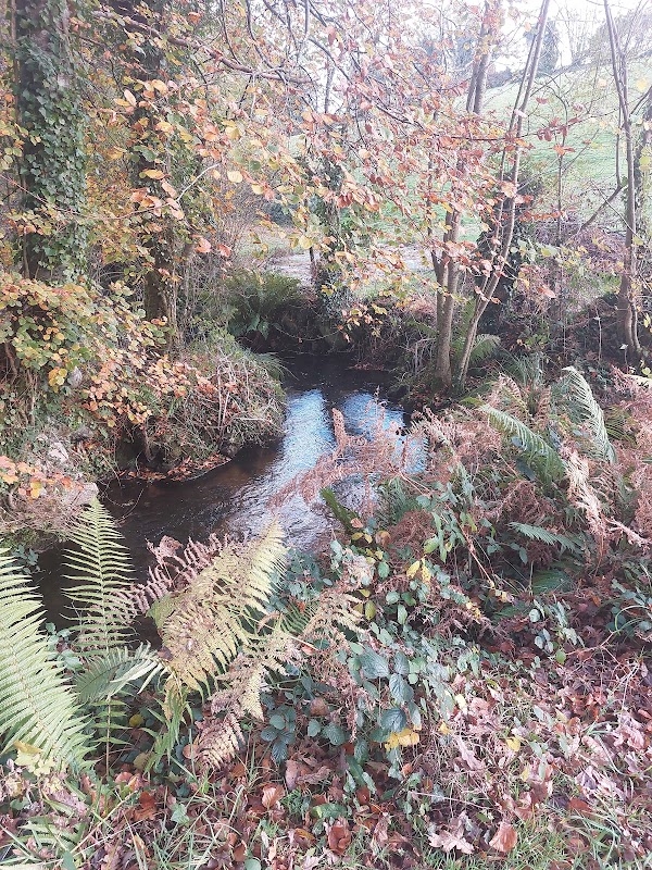 EHPAD du Steir - Photo 4 sur 5 - Espaces de vie