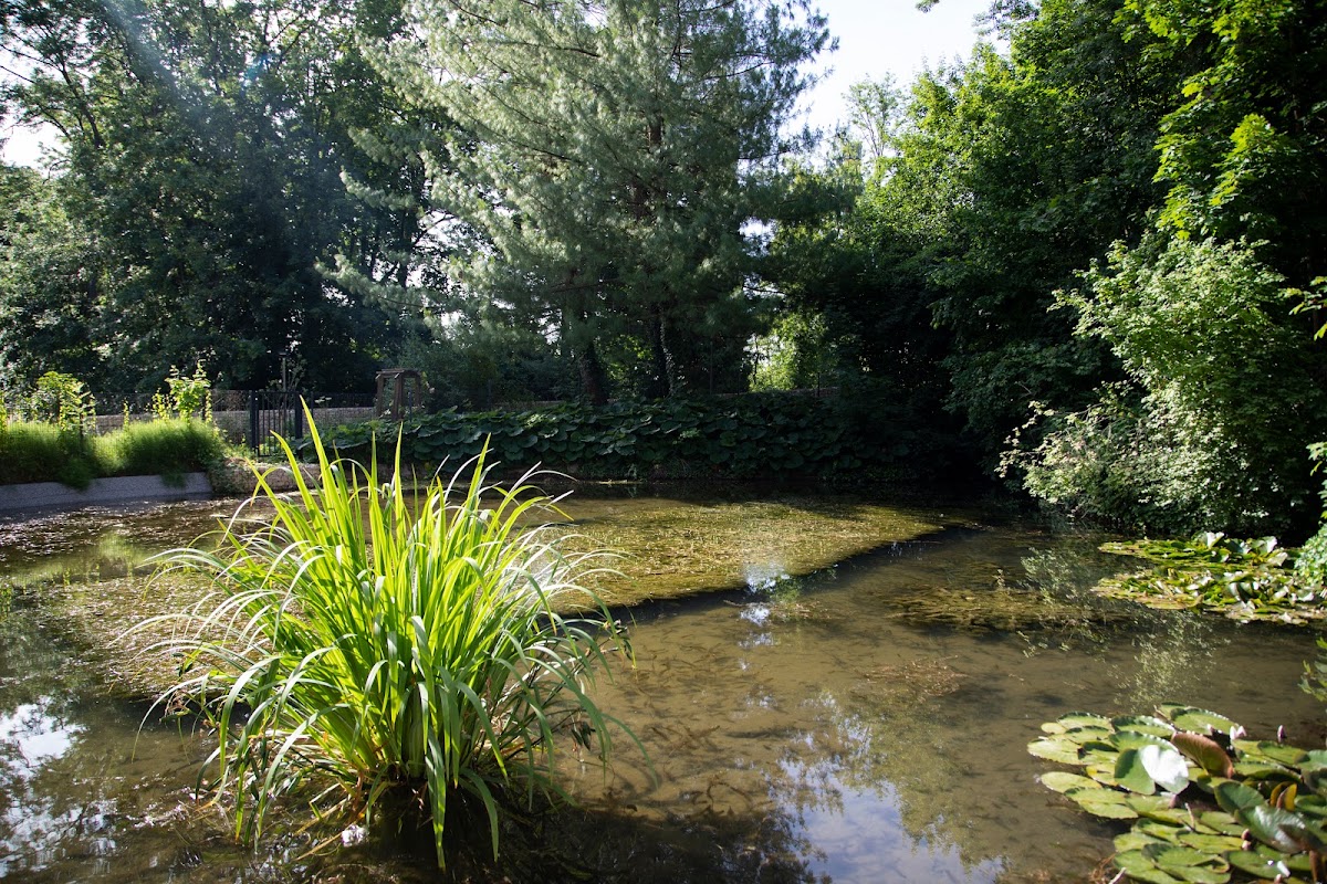 EHPAD Notre-Dame du Bon Repos - Photo 4 sur 5 - Espaces de vie