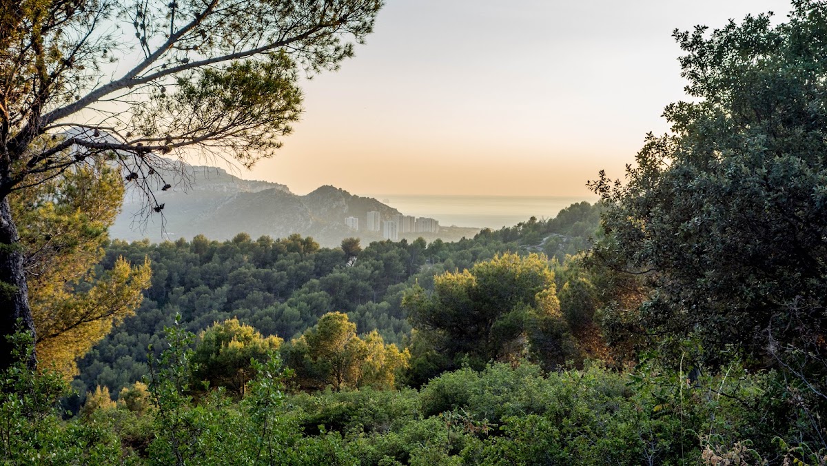 Résidence Roy d'Espagne - Photo 3 sur 5 - Chambres et hébergement