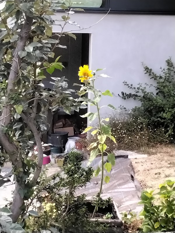 EHPAD de Cleunay rennes