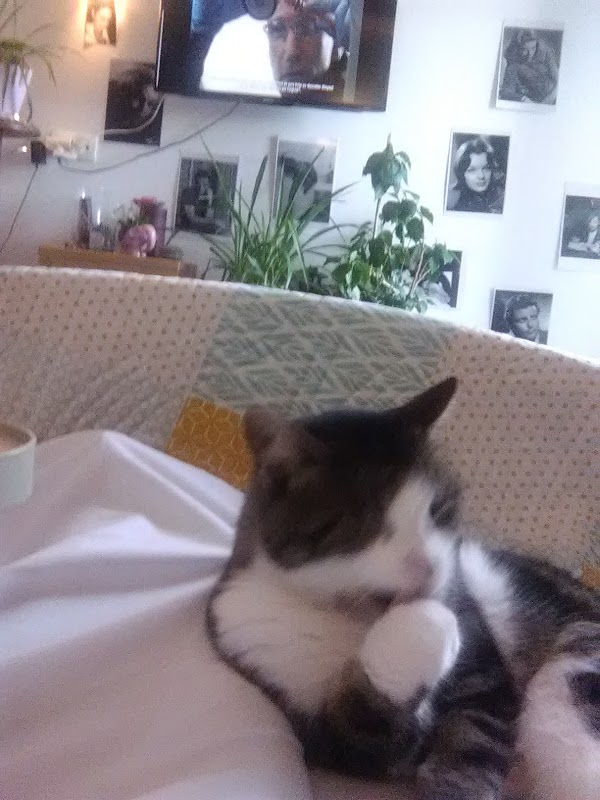 EHPAD de Thieblemont - Photo 2 sur 2 - Intérieur et espaces communs