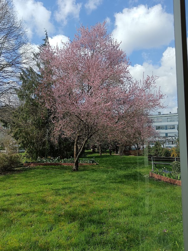MAISON DE RETRAITE LES MAGNOLIAS - Photo 4 sur 4 - Espaces de vie
