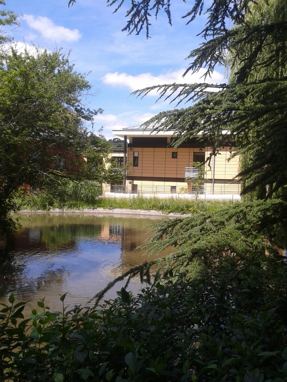 EHPAD Les jardins d'Ennery - Photo 3 sur 5 - Chambres et hébergement