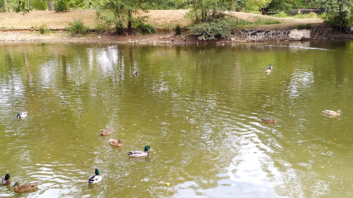 Foyer-Résidence les Rives de l'Indre - Photo 5 sur 5 - Environnement et extérieurs