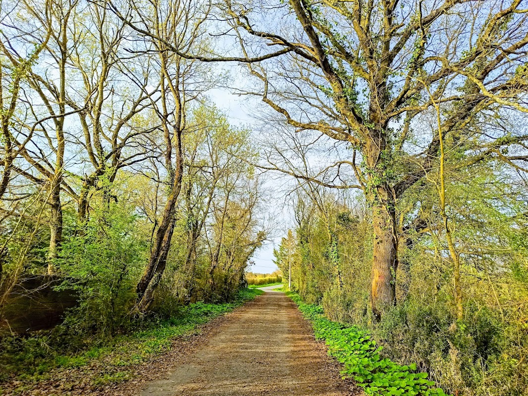 Photo de EHPAD Saint-Charles Epiré, EHPAD à BOUCHEMAINE
