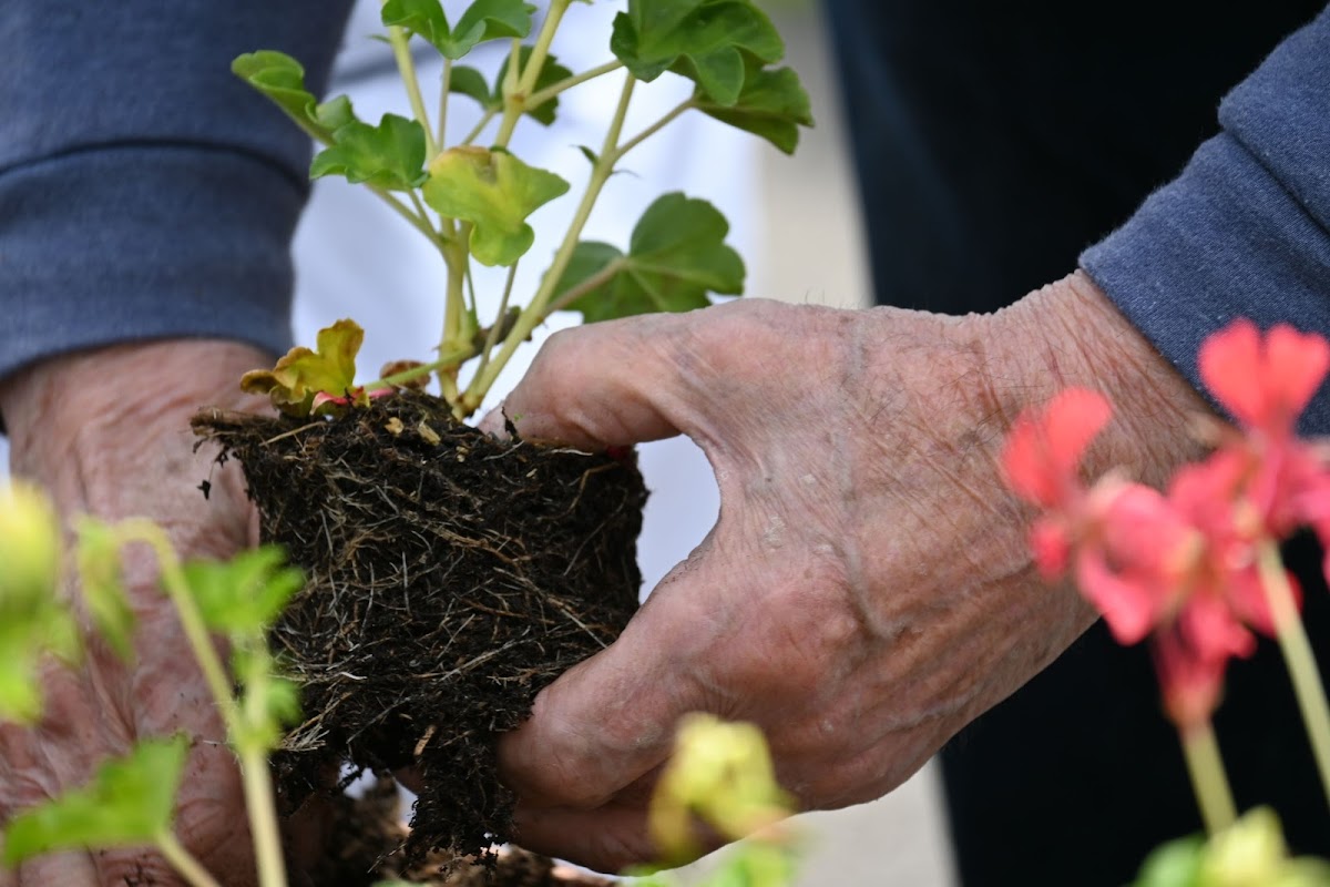 Residence Mutualiste Marie Lagrevol - Photo 3 sur 5 - Chambres et hébergement