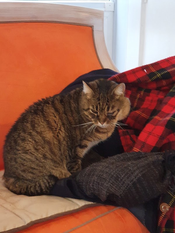 Maison d'accueil du château d'Ay - Photo 2 sur 3 - Intérieur et espaces communs