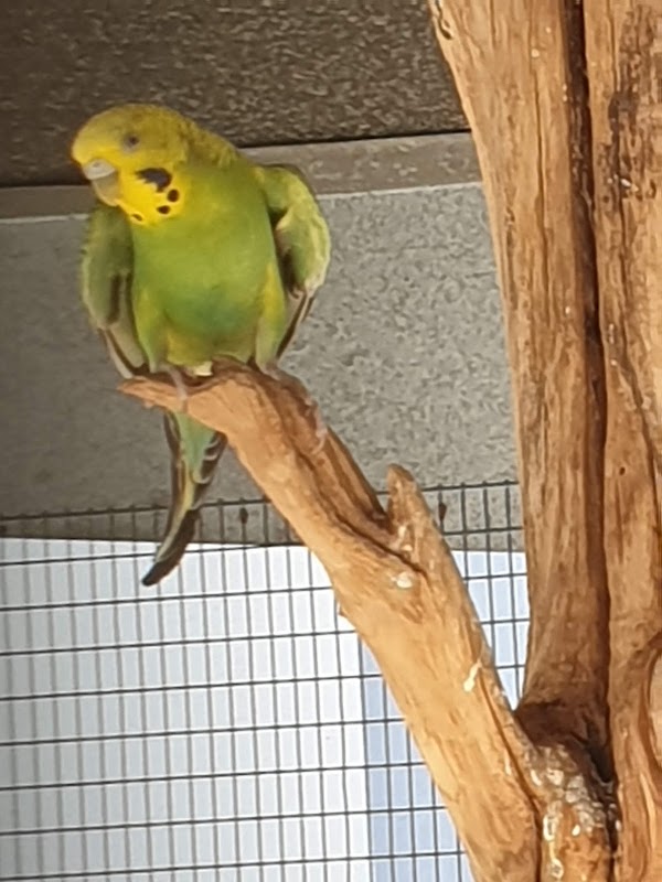 USLD de Bigorre - Site de l'Ayguerote - Photo 3 sur 5 - Chambres et hébergement