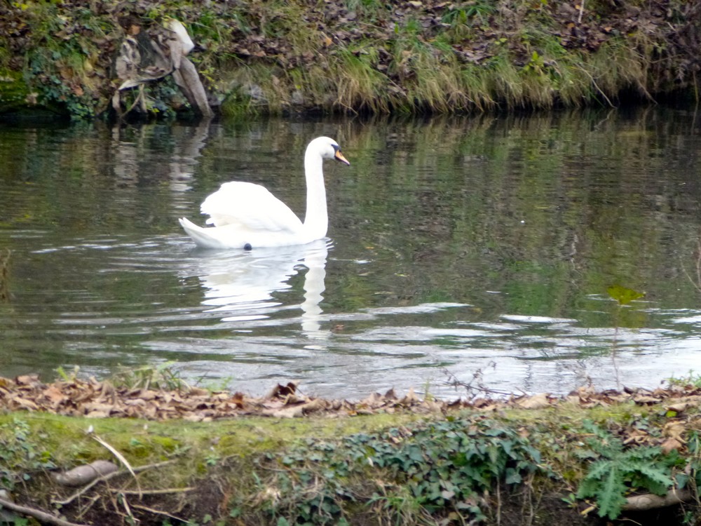Résidence Bernardin-de-Saint-Pierre - Photo 5 sur 5 - Environnement et extérieurs