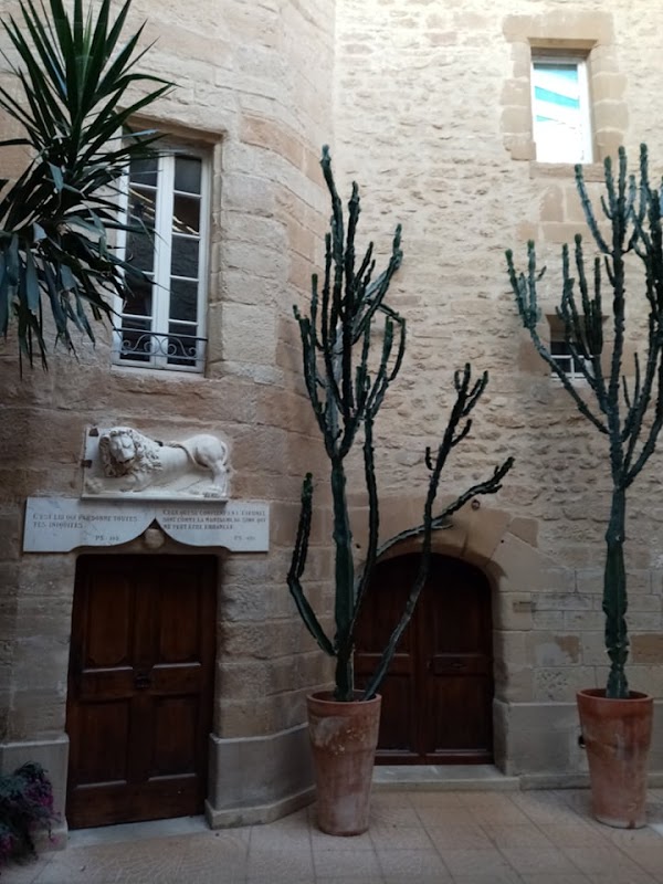 EHPAD Le château - Photo 5 sur 5 - Environnement et extérieurs