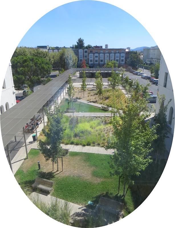 EHPAD public Le petit bosquet