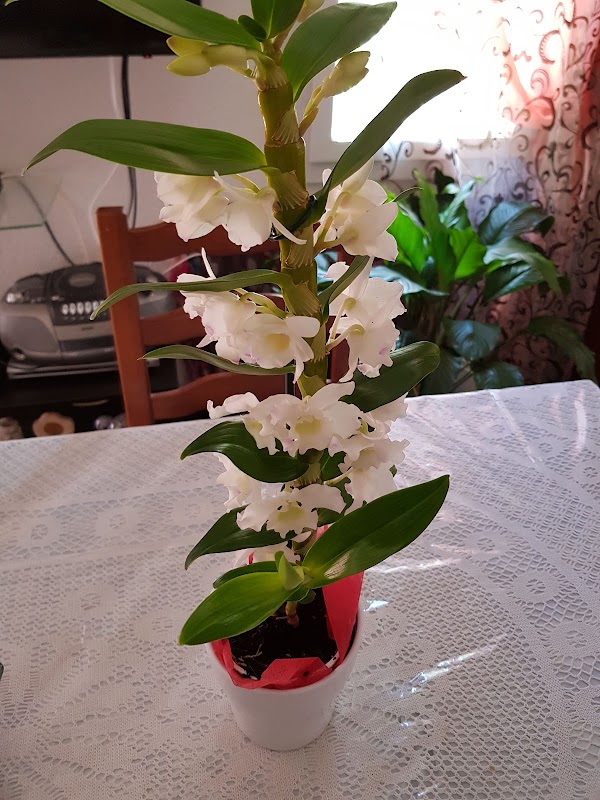 EHPAD COS Jeanne d'Arc - Photo 5 sur 5 - Environnement et extérieurs