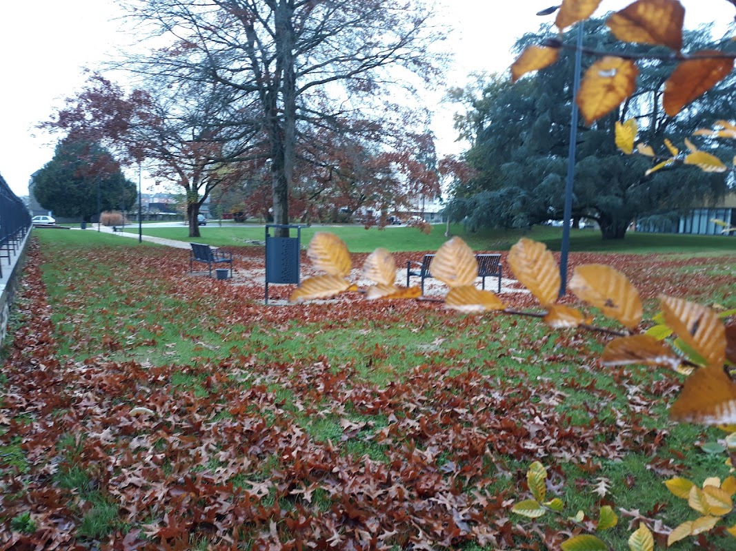 EHPAD La Chesnardière - Photo 4 sur 4 - Espaces de vie