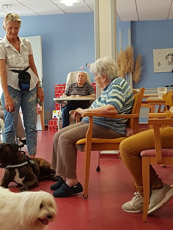 EHPAD du Centre hospitalier Bonifacio - Photo 2 sur 5 - Intérieur et espaces communs