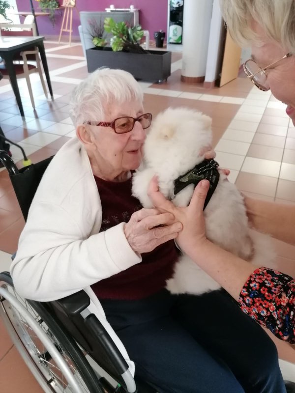 EHPAD Les Chataigniers - Photo 3 sur 5 - Chambres et hébergement