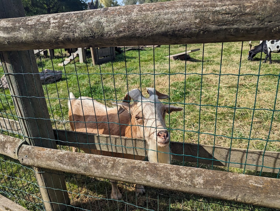 Résidence Belle Vue