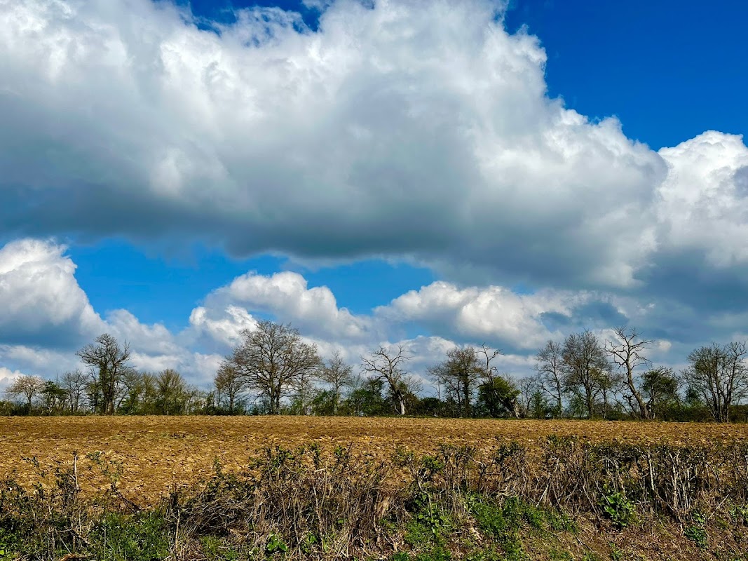 EHPAD Sury-en-Vaux - Photo 3 sur 5 - Chambres et hébergement