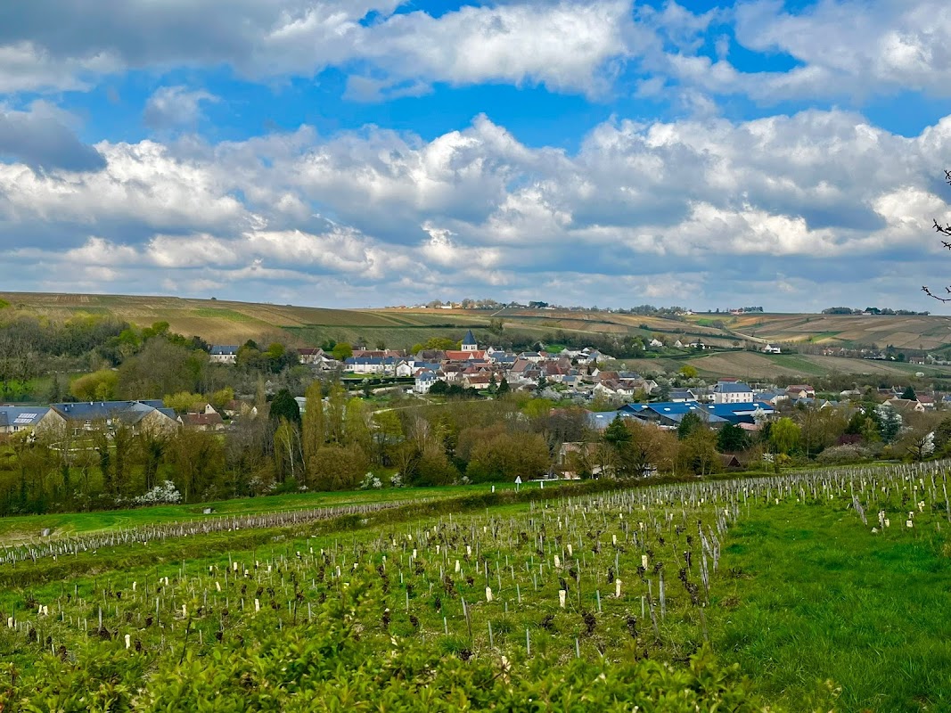 EHPAD Sury-en-Vaux - Photo 2 sur 5 - Intérieur et espaces communs