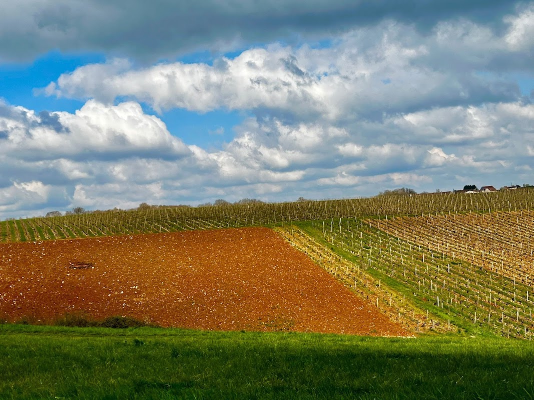 EHPAD Sury-en-Vaux - Photo 5 sur 5 - Environnement et extérieurs