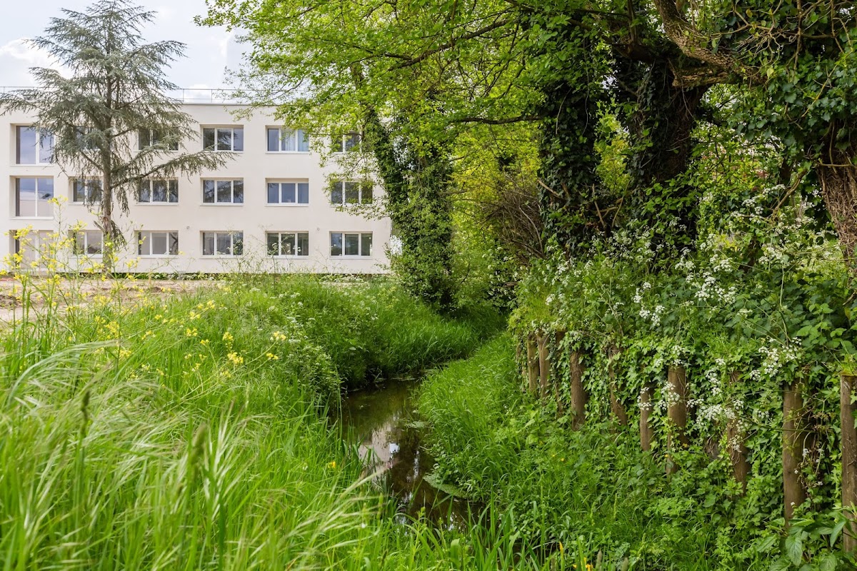 EHPAD Les Parentèles - Photo 5 sur 5 - Environnement et extérieurs