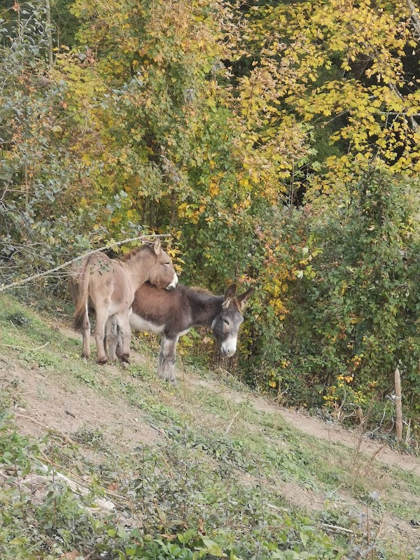 Résidence Du parc - Photo 5 sur 5 - Environnement et extérieurs