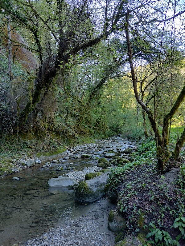 Résidence Du parc - Photo 3 sur 5 - Chambres et hébergement