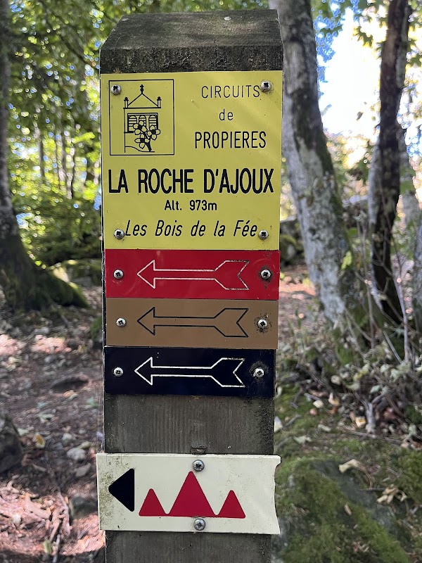 Résidence La roche d’Ajoux - Photo 3 sur 5 - Chambres et hébergement