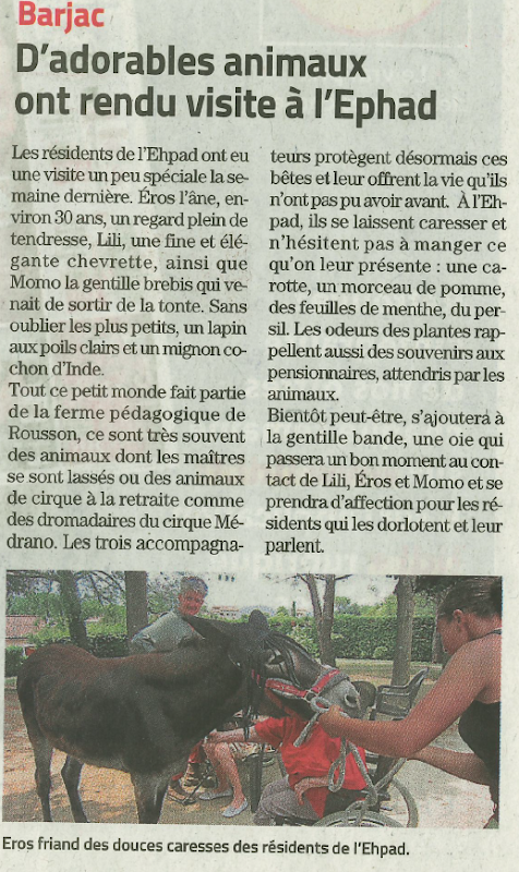 EHPAD Saint-Laurent - Photo 5 sur 5 - Environnement et extérieurs