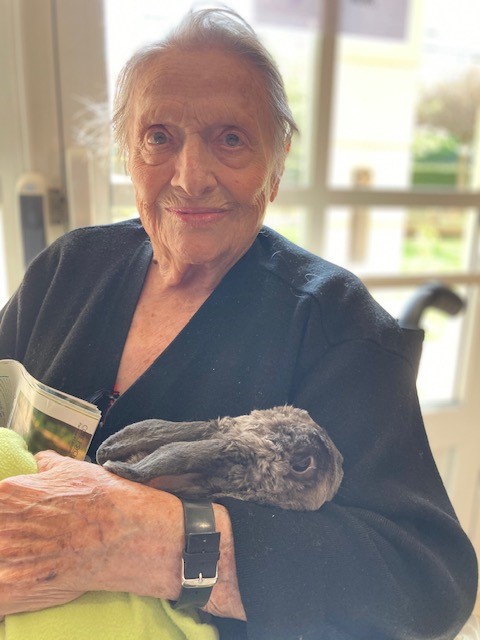 EHPAD Les 4 Saisons - Photo 5 sur 5 - Environnement et extérieurs