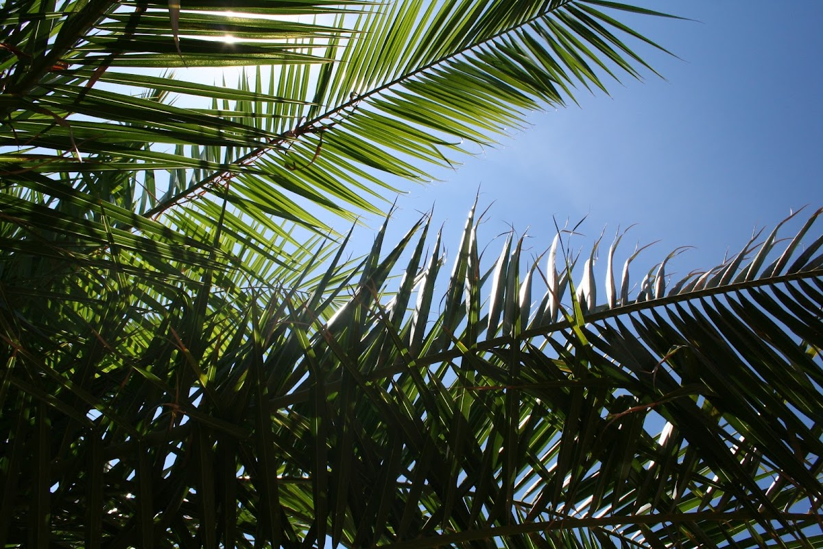 EHPAD La Palmeraie - Photo 2 sur 5 - Intérieur et espaces communs