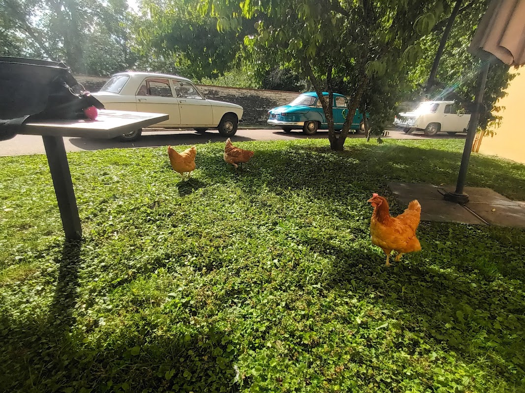 EHPAD Les Glycines - Photo 4 sur 5 - Espaces de vie