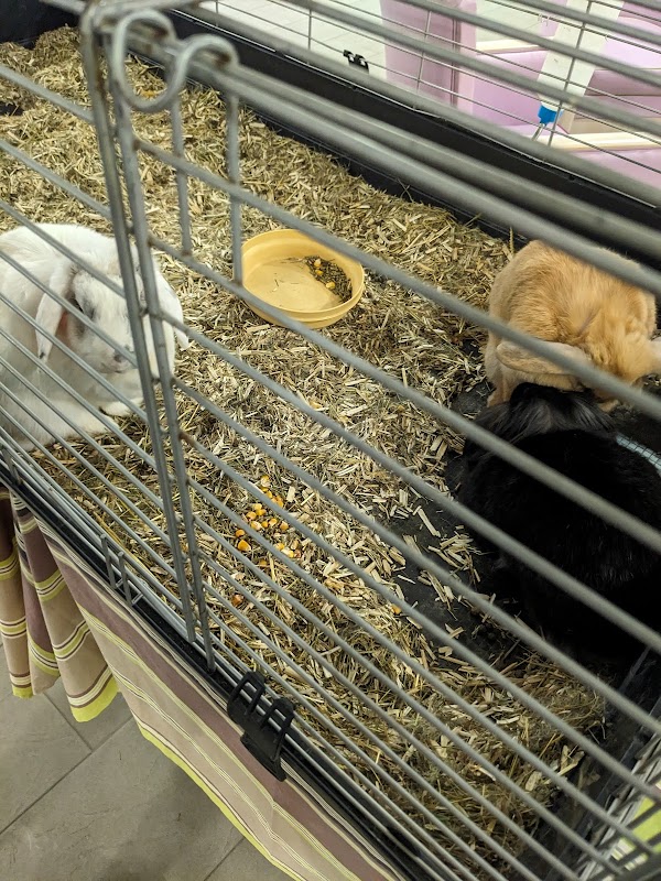 EHPAD Saint-Damien - Photo 2 sur 4 - Intérieur et espaces communs