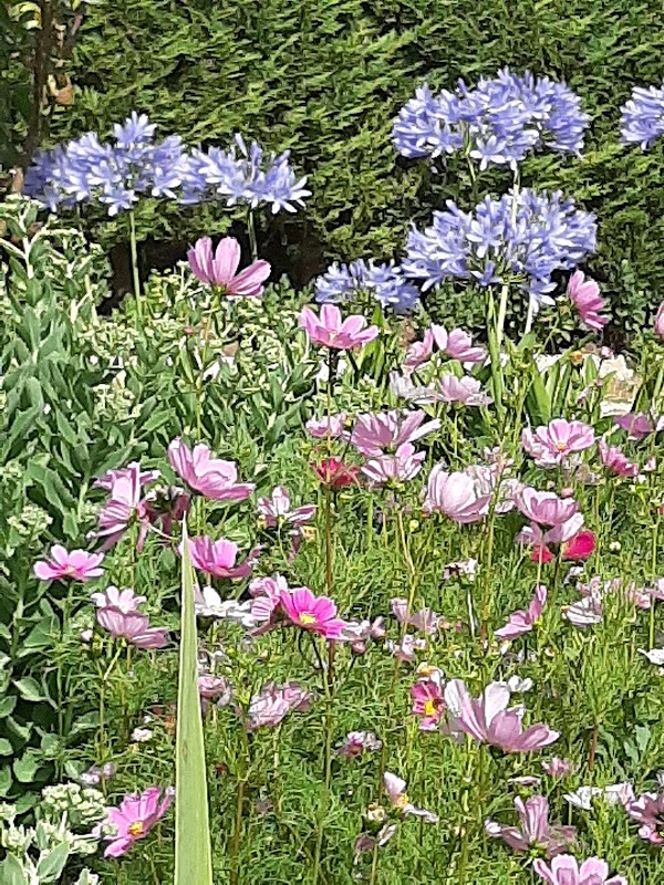 Photo de Foyer-Logement Résidence Guilbeau, Résidence autonomie à BOURGES