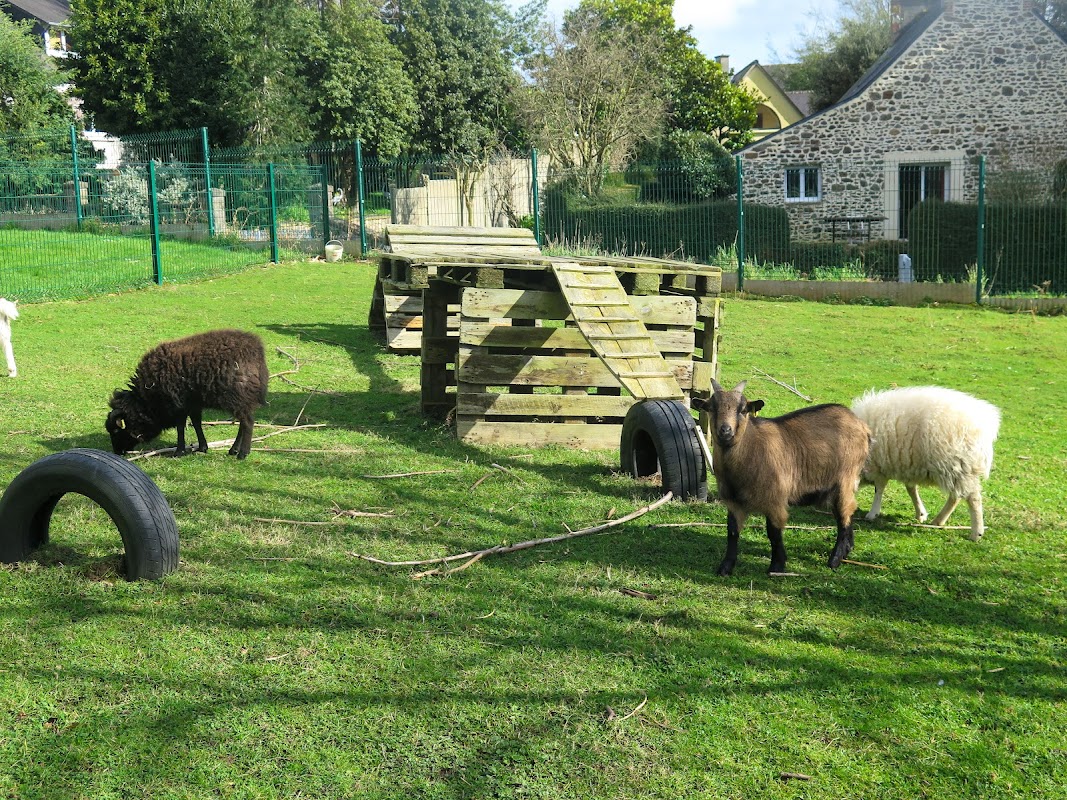 EHPAD Résidence Saint-Joseph - Photo 4 sur 5 - Espaces de vie