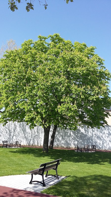EHPAD Sainte-Élisabeth - Photo 4 sur 5 - Espaces de vie