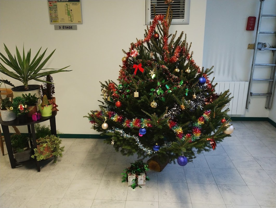 Résidence de Montmorency - Photo 5 sur 5 - Environnement et extérieurs