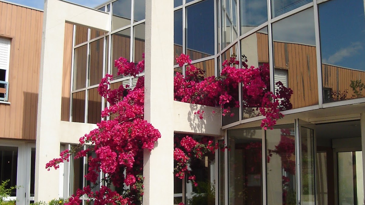 EHPAD Résidence de la Tour - Photo 2 sur 5 - Intérieur et espaces communs