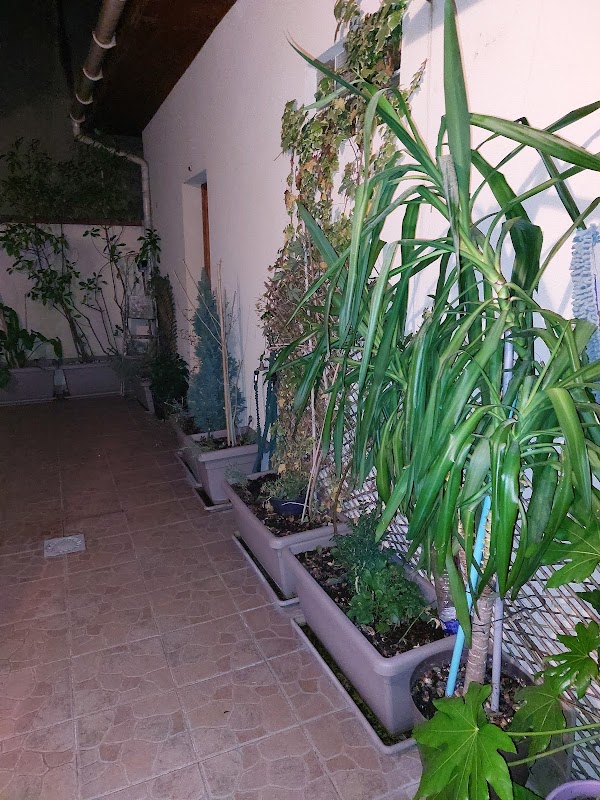 Photo de La Résidence de Molières, EHPAD à MOLIERES