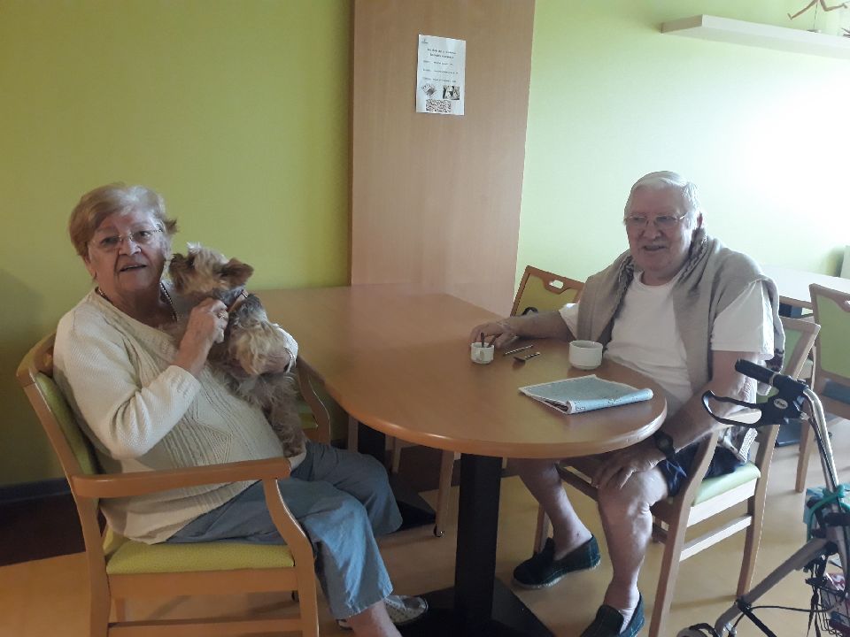 Photo de MARPA de Sainte Bazeille, Résidence autonomie à STE BAZEILLE