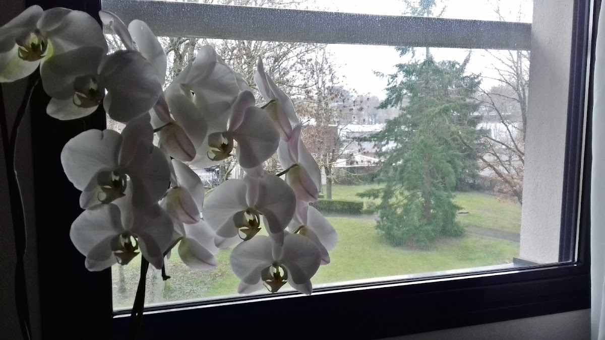 EHPAD Résidence Léopold Bellan - Photo 5 sur 5 - Environnement et extérieurs