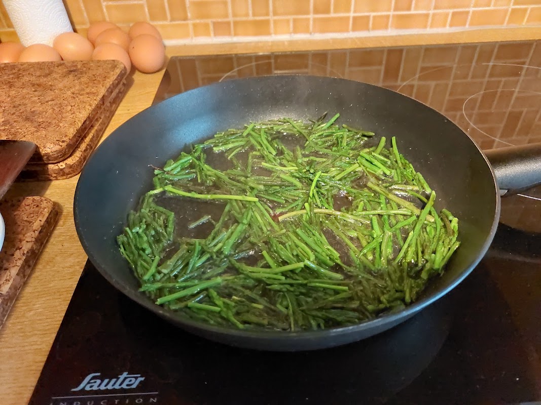 EHPAD Ma Maison - Photo 3 sur 5 - Chambres et hébergement