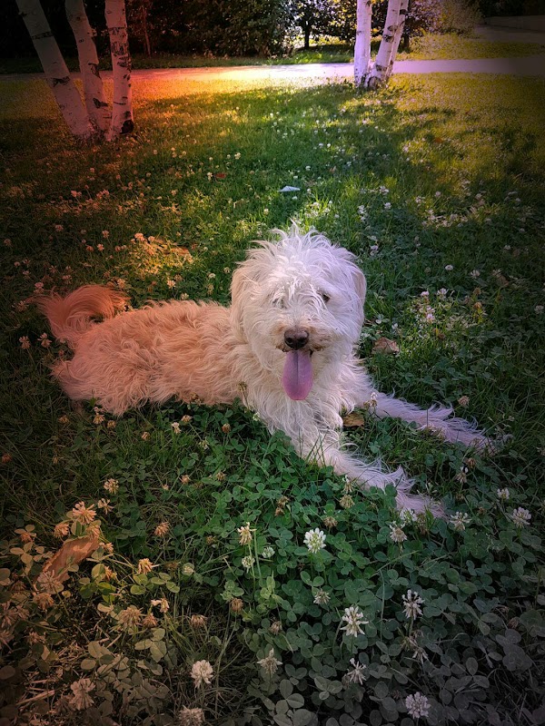 Résidence le Vercors - Photo 3 sur 3 - Chambres et hébergement