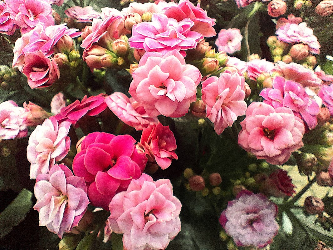 EHPAD Les Jardins Saint-Jacques - Photo 2 sur 2 - Intérieur et espaces communs