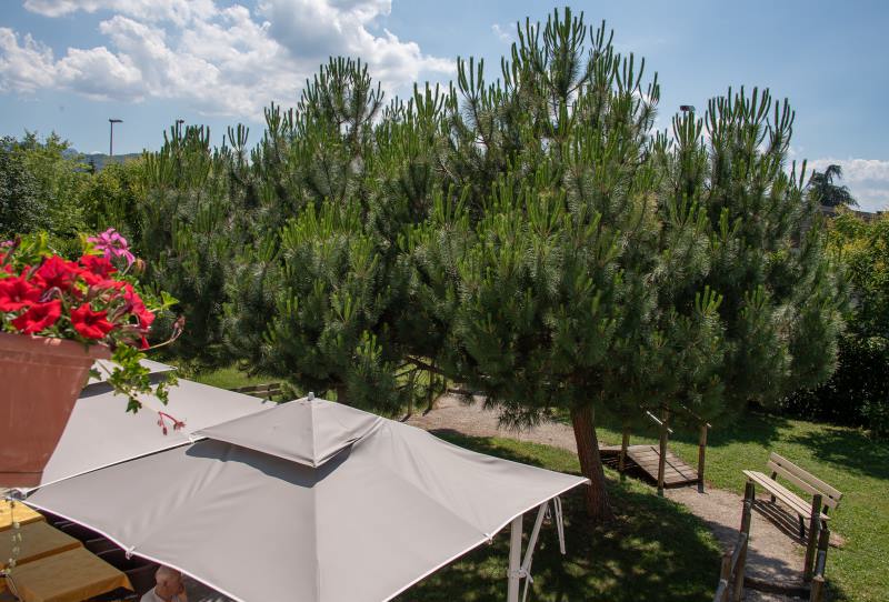 EHPAD - Résidence du Léman - Photo 5 sur 5 - Environnement et extérieurs