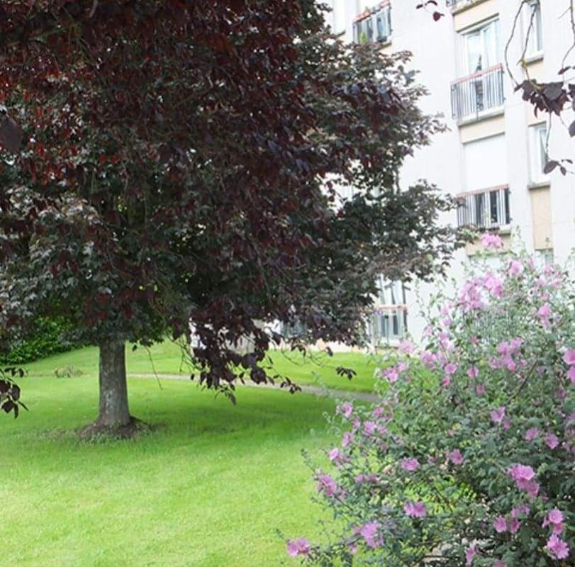 Foyer-Logement RPA - Photo 5 sur 5 - Environnement et extérieurs