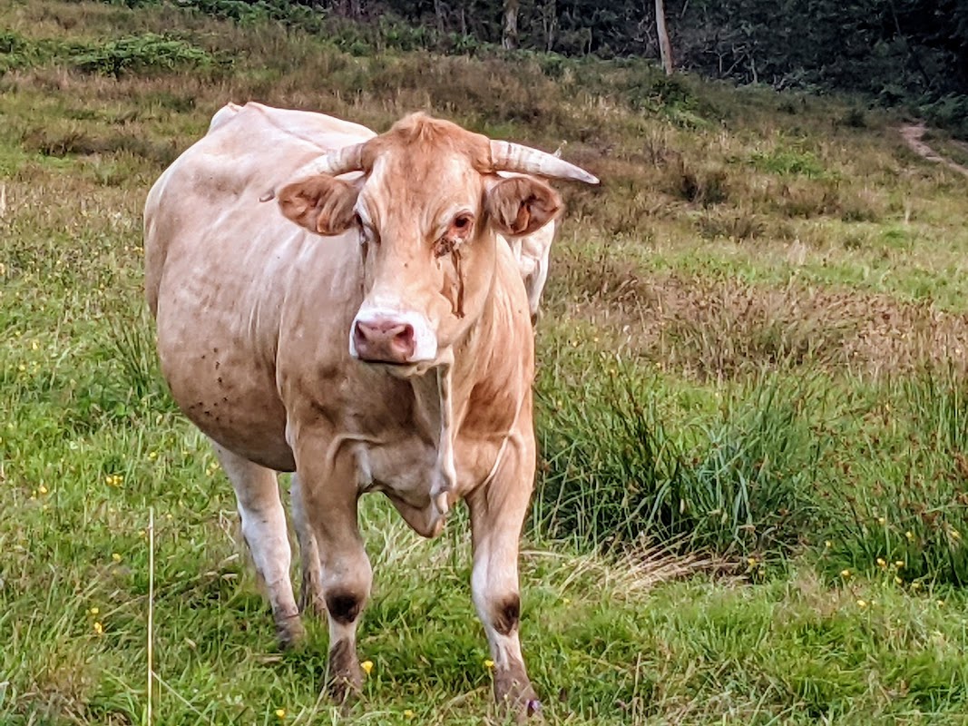 MARPA des Baïses - Photo 4 sur 5 - Espaces de vie