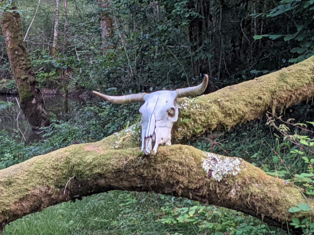 Photo de MARPA des Baïses, Résidence autonomie à LASSEUBE