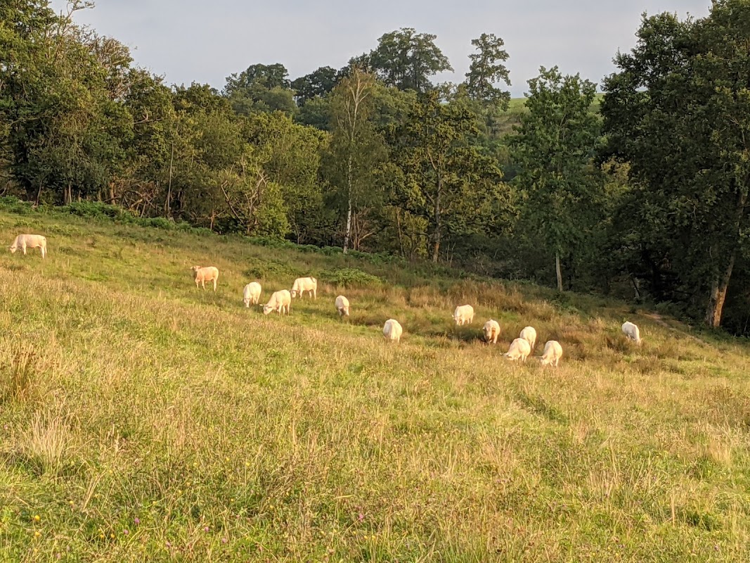 MARPA des Baïses - Photo 3 sur 5 - Chambres et hébergement