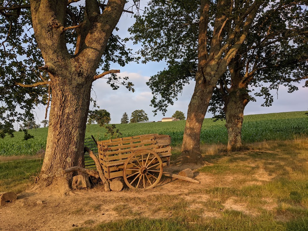 MARPA des Baïses - Photo 2 sur 5 - Intérieur et espaces communs