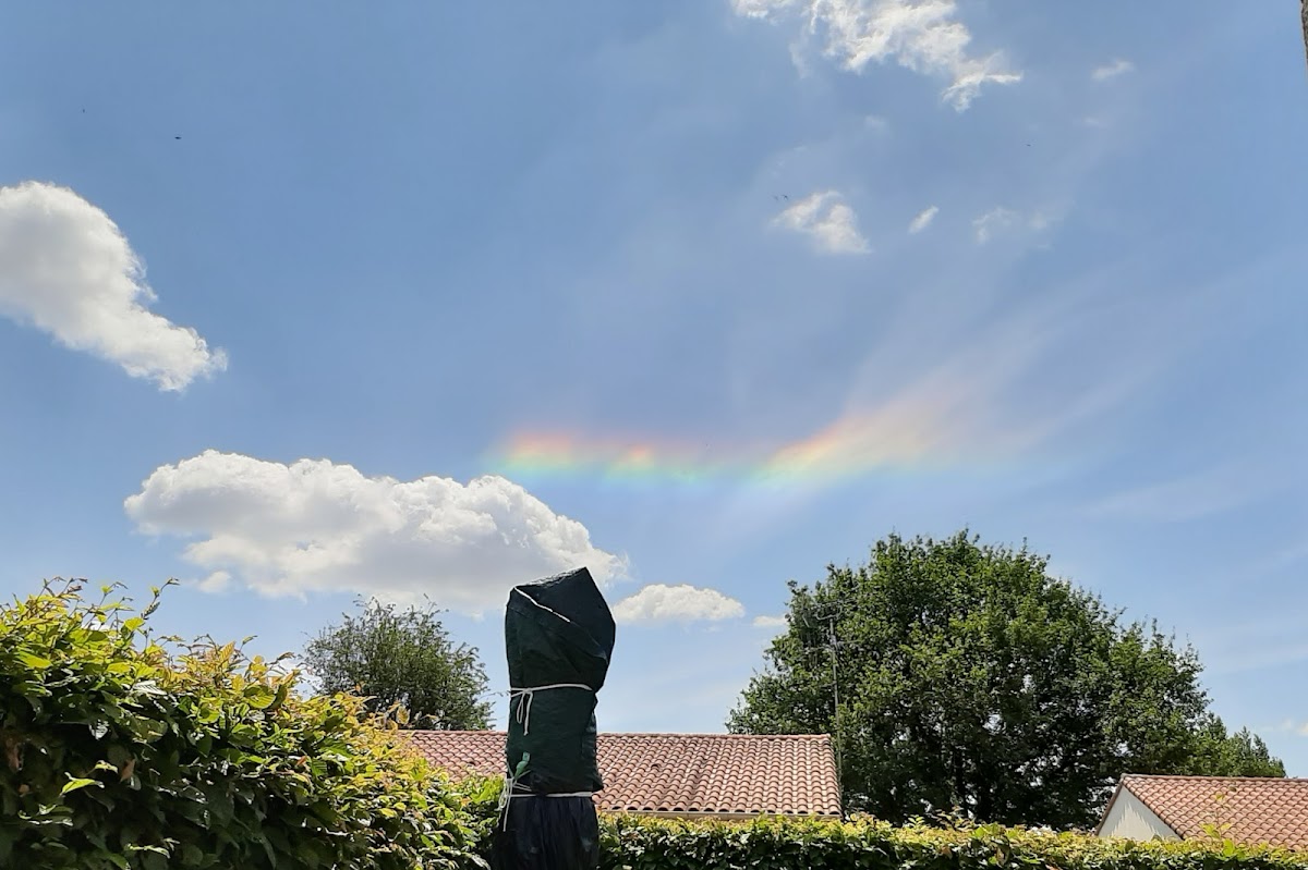 Maison de Vie La Résidence du Parc la Rabateliere - Photo 4 sur 5 - Espaces de vie